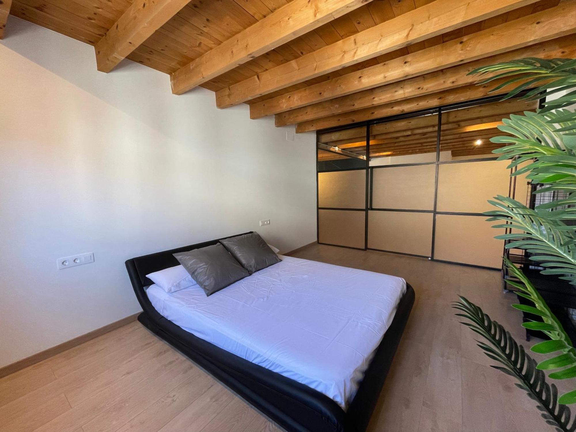 Industrial Apartment
